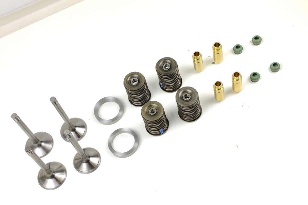 BMW R75 R80 R90 R100 Zylinderkopfüberholung Twinshock- und Monolevermodelle Bleifreiumbau