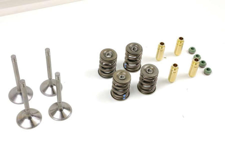 BMW R80R/GS R100R/GS Zylinderkopfüberholung Paralevermodelle