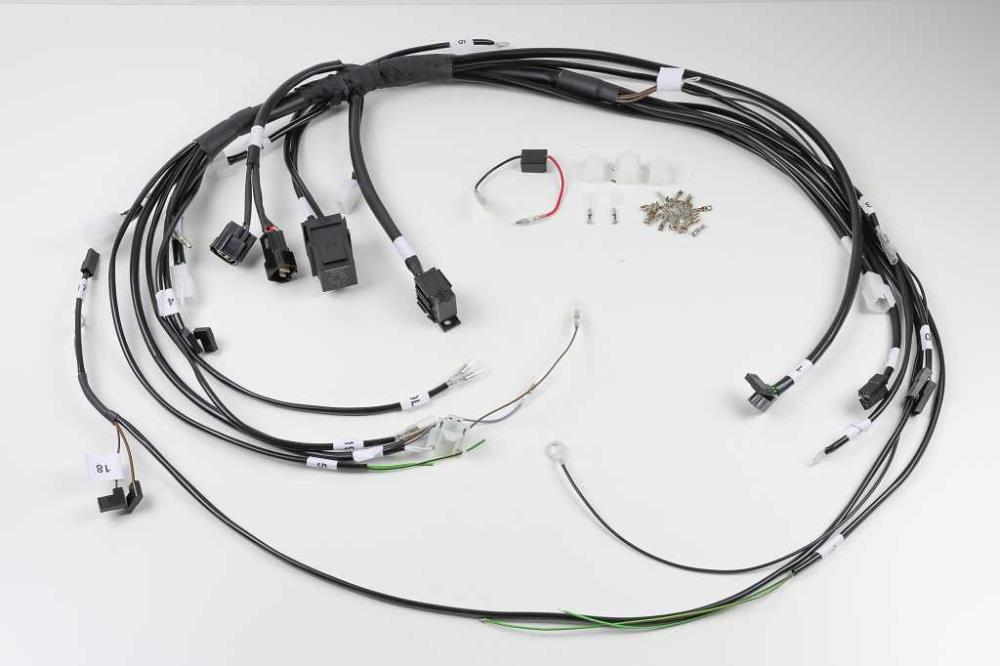 BMW R45 R65 R80 R100 Kabelbaum für Acewell CA085