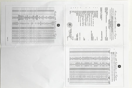 BMW R65 R80 R100 Monolever 2-2 Auspuffanlage hochgelegt mit ABE